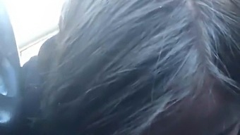Amateur Girls Go Wild On The Highway